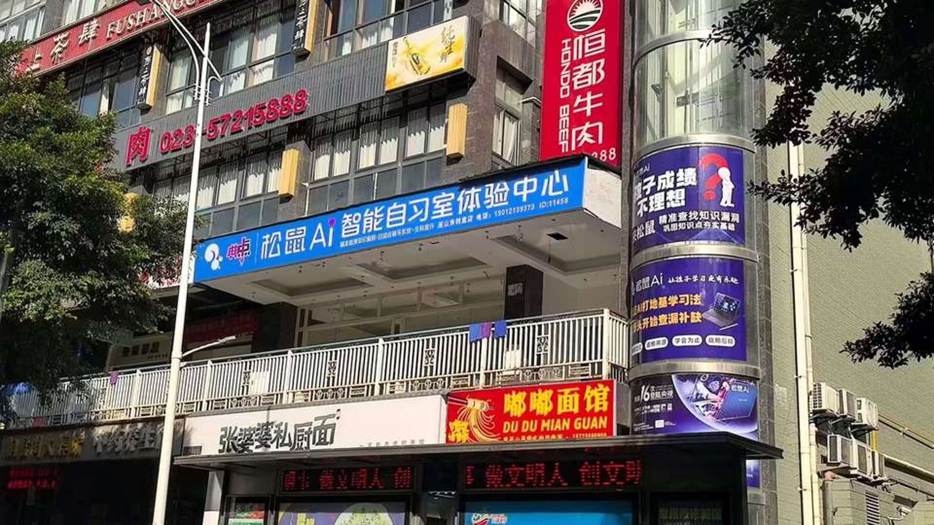知星知识产权